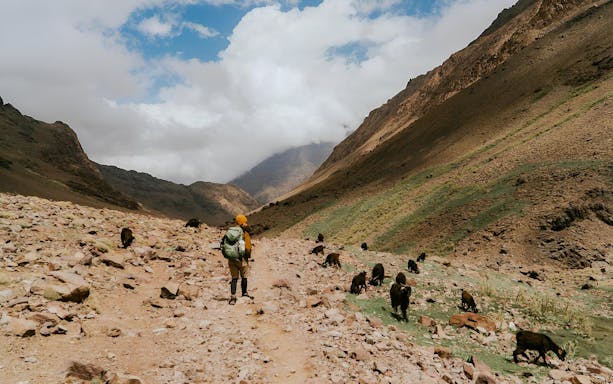 Hiker on rocky path with goats in Essaouira mountains, Morocco.