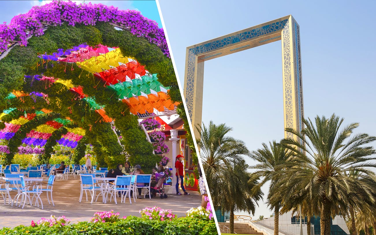 Dubai Miracle Garden colorful umbrella walkway and Dubai Frame with palm trees.