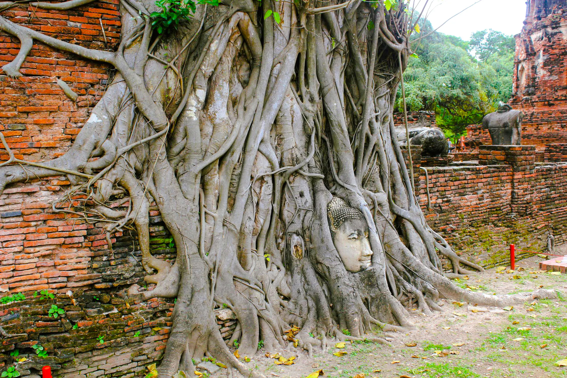 dagstur til ayutthaya historiske park med privat transport og båttur-1