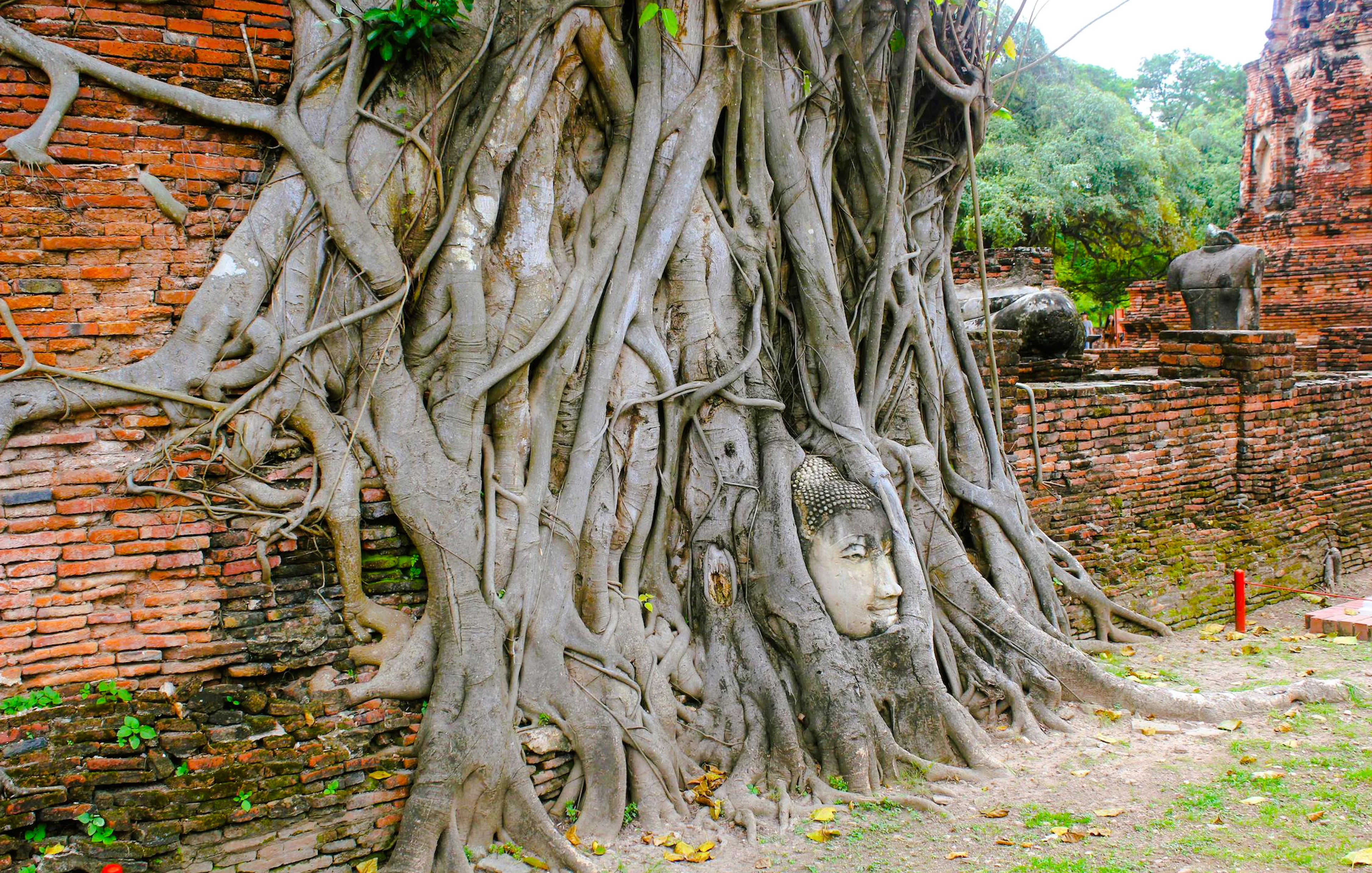 ayutthaya historical park day trip with private car transfers and longtail boat tour-1