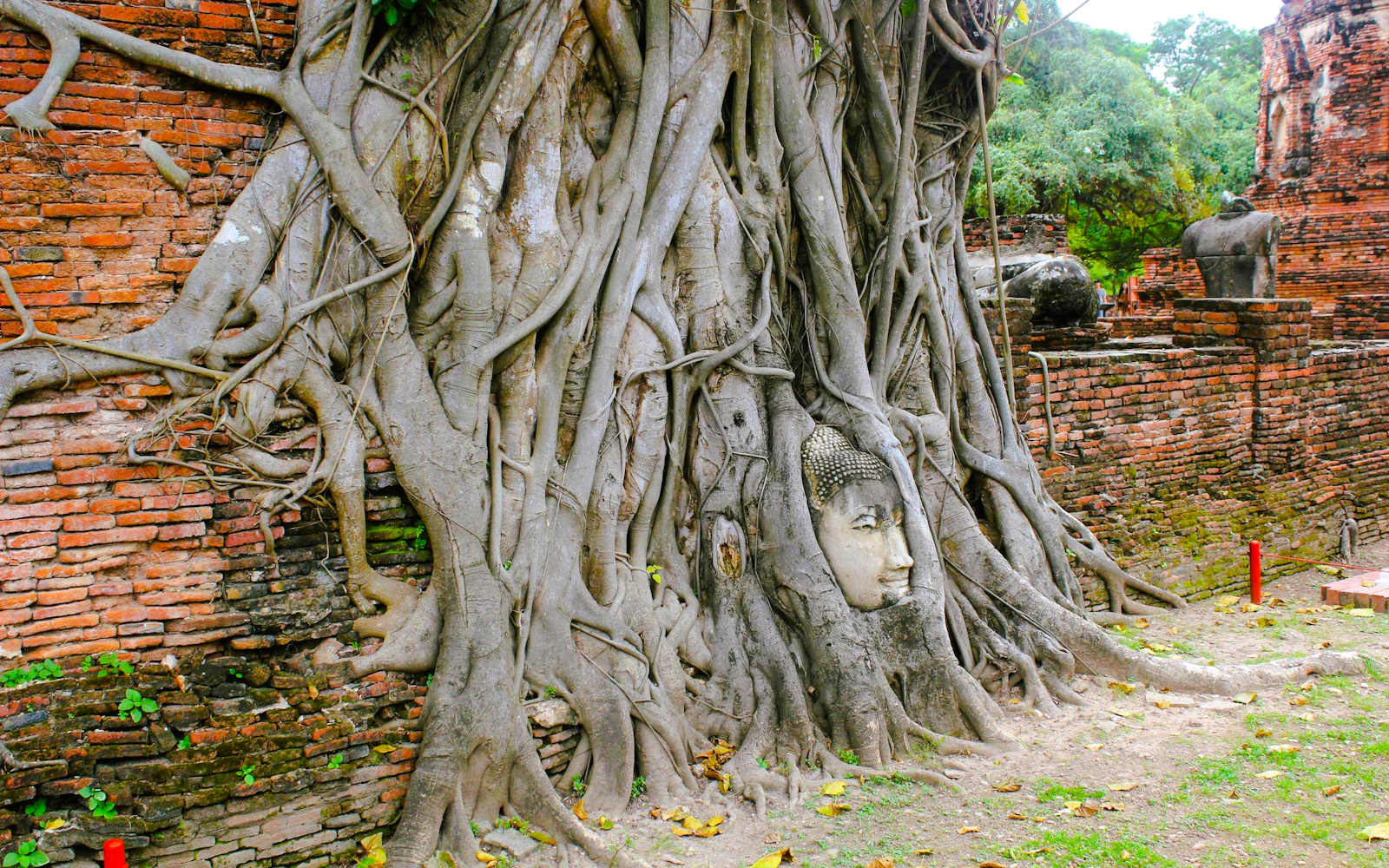 From Bangkok/Pattaya: Bangkok: Ayutthaya Day Trip by Private Car with Boat Tour