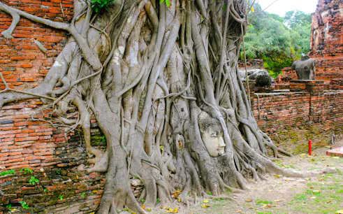 excursion d'une journée au parc historique d'ayutthaya avec transferts en voiture privée et visite en bateau à queue longue-1