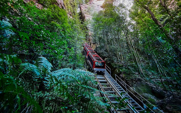 Scenic railway through lush forest in Blue Mountains, Australia.
