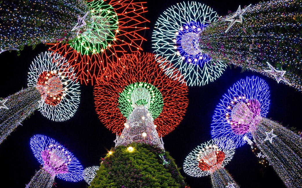 Supertree Grove illuminated at night during Singapore Night Tour.