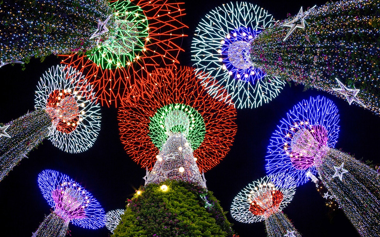 Supertree Grove illuminated at night during Singapore Night Tour.
