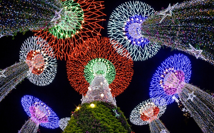 Supertree Grove illuminated at night during Singapore Night Tour.