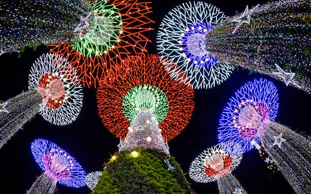 Supertree Grove illuminated at night during Singapore Night Tour.