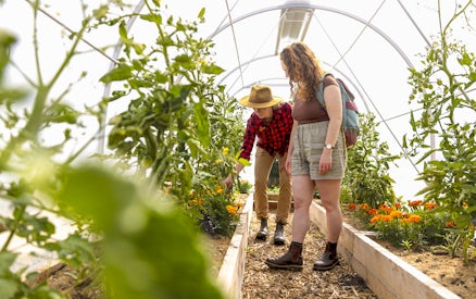 Guide explaining farming technique in greenhouse at Walter Peak.
