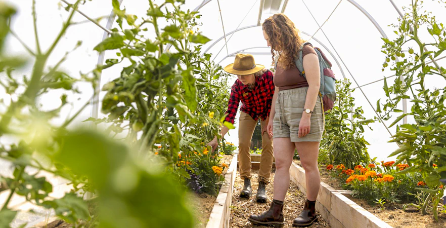 Guide explaining farming technique in greenhouse at Walter Peak.