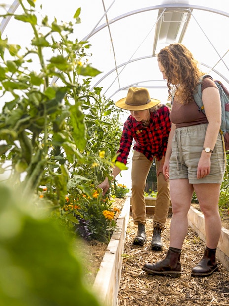 Guide explaining farming technique in greenhouse at Walter Peak.