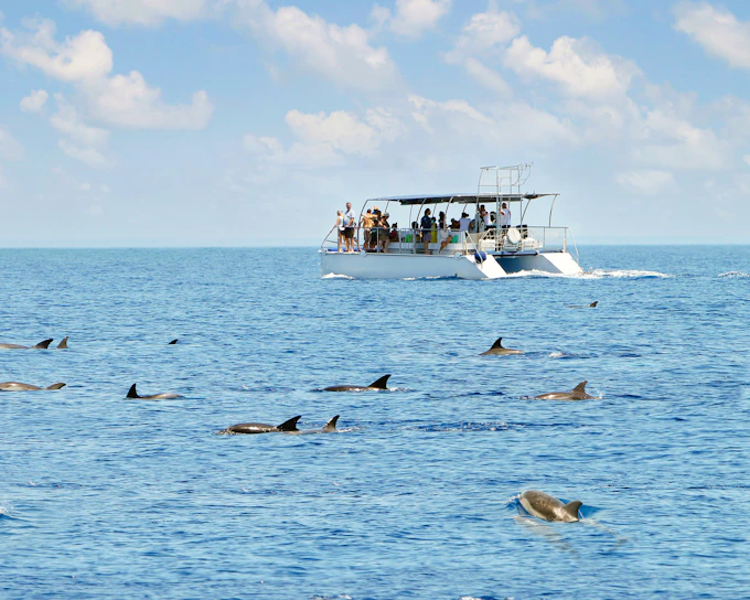 Kangaroo Island Wildlife Spotting Coastal Boat Tour