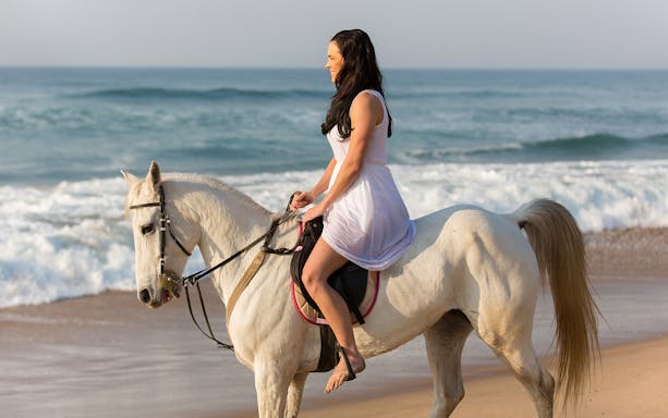 Person riding a white horse along the shoreline at Flamingo Beach.