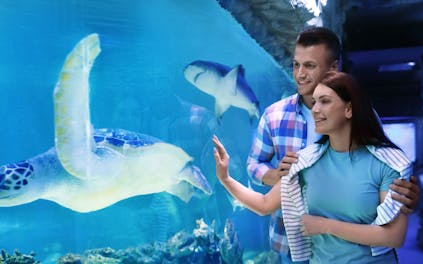 SEA LIFE Orlando Main Entrance (Shared with ICON park)