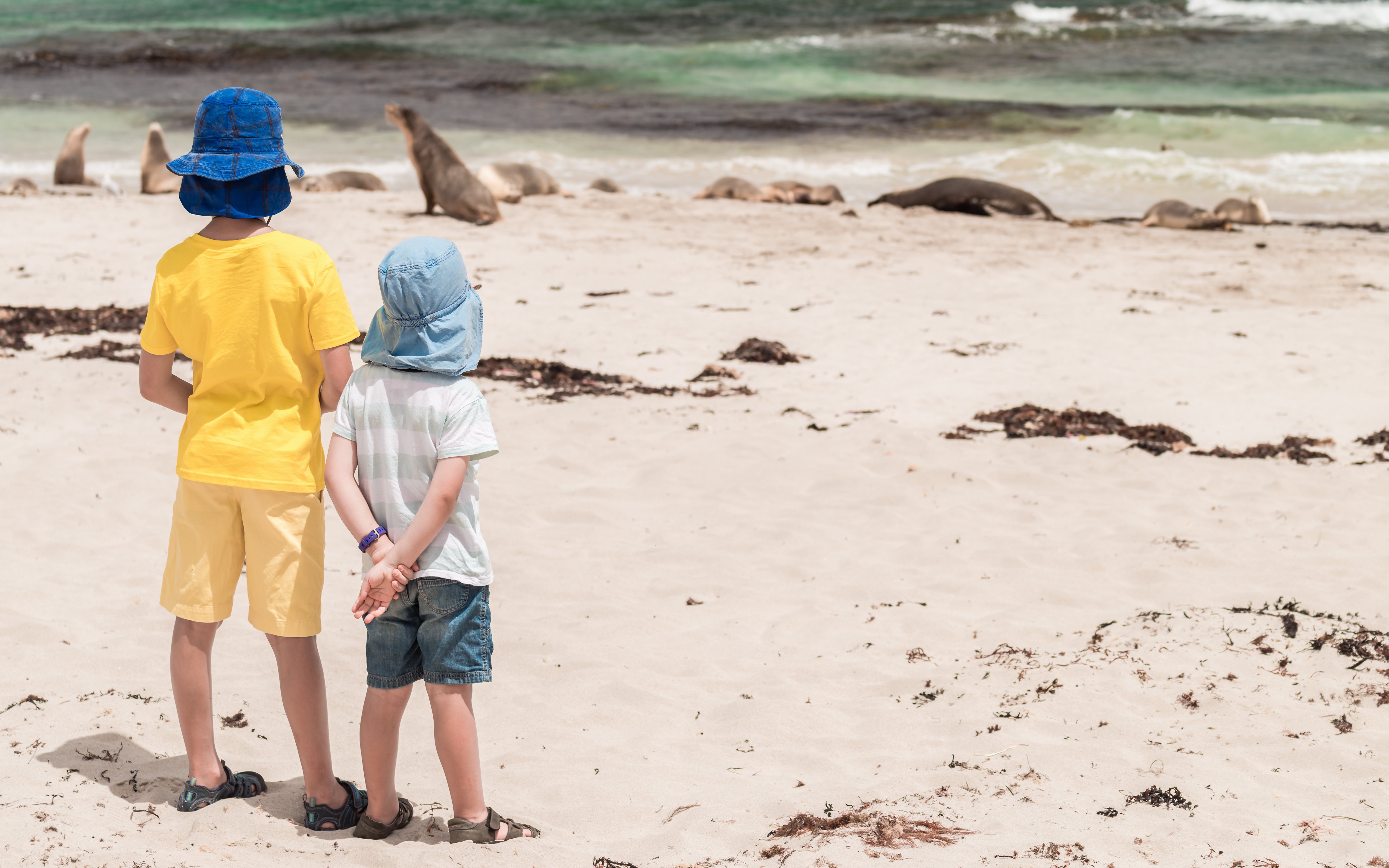 Rehberli sahil yürüyüşü