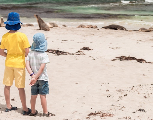 Kids observing sea lions on the beach at Seal Bay, Kangaroo Island.