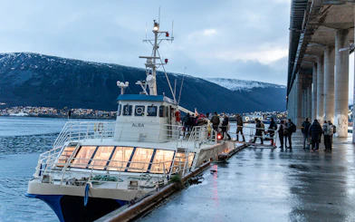 Guests boarding a cruise for whale watching with marine guides in a scenic fjord.