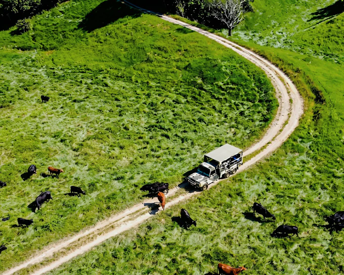 Daintree Park: Cassowary Falls Guided ATV Quad Bike and Private Forest Adventure Small Group Tour (Product 44170)