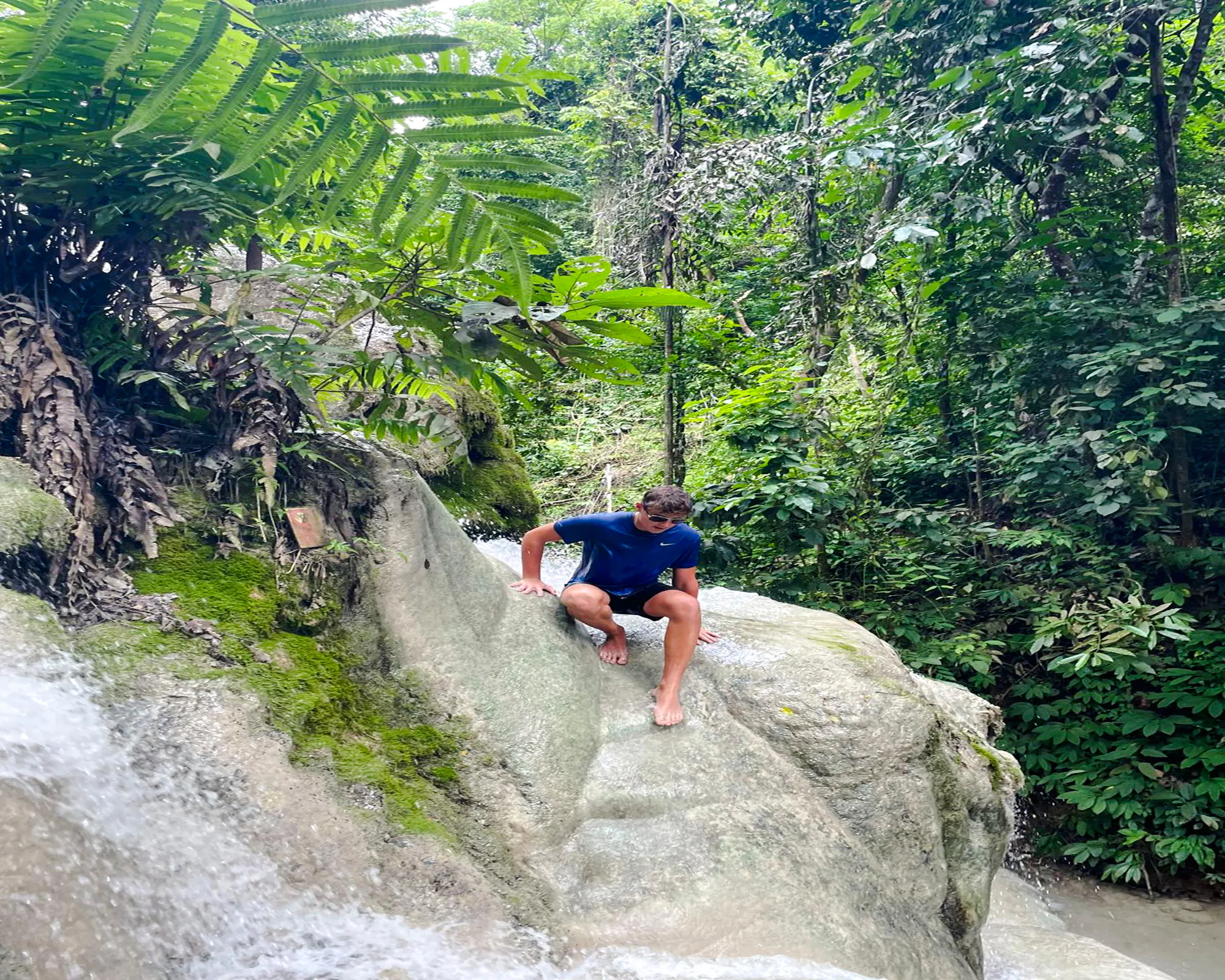 Bua Thong Sticky Waterfall Half-Day Private Car Tour with Driver from Chiang Mai