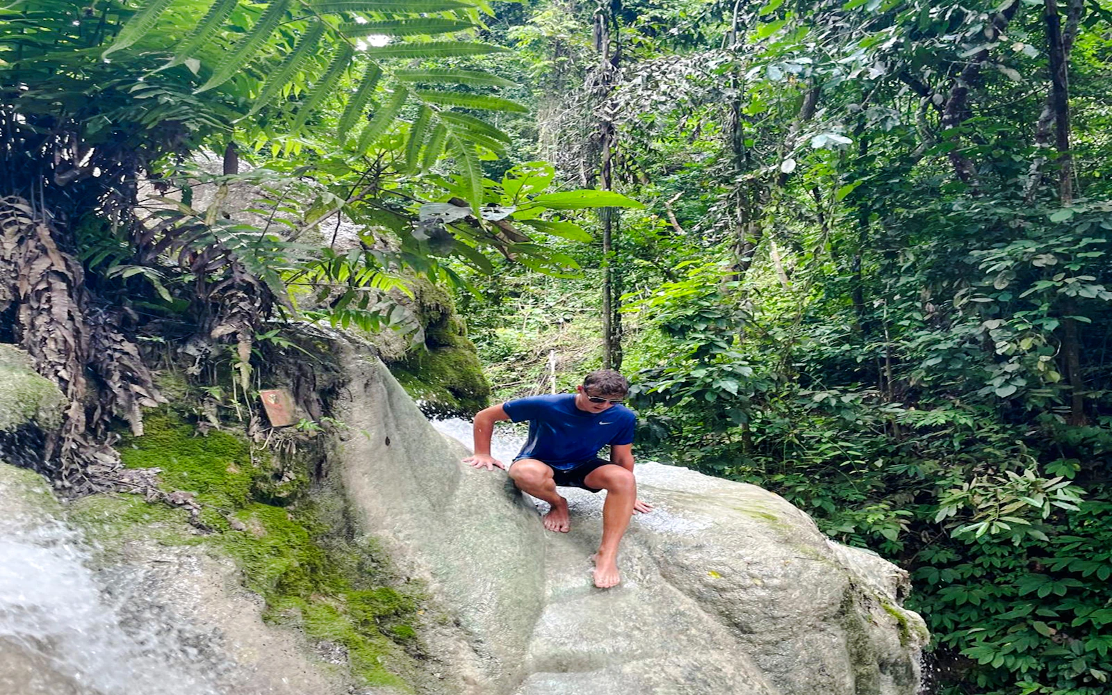 Bua Thong Sticky Waterfall Half-Day Private Car Tour with Driver from Chiang Mai