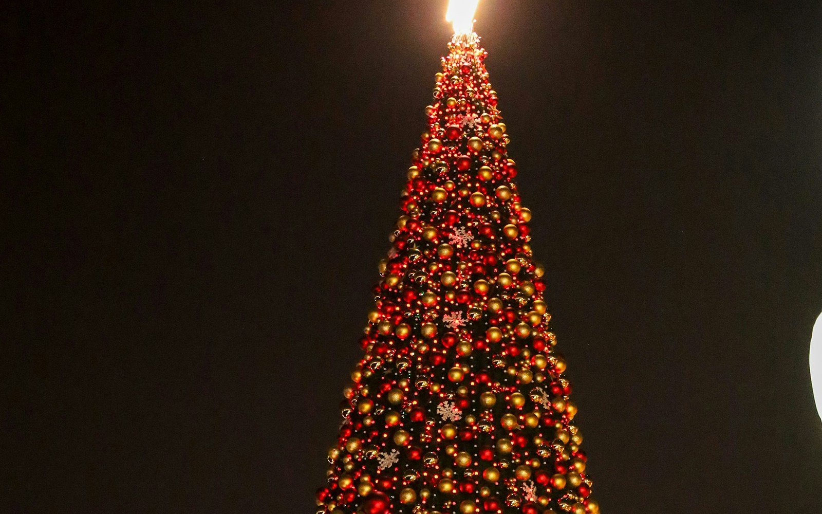 Christmas tree adorned with red and gold ornaments at The Winter Garden Dubai.