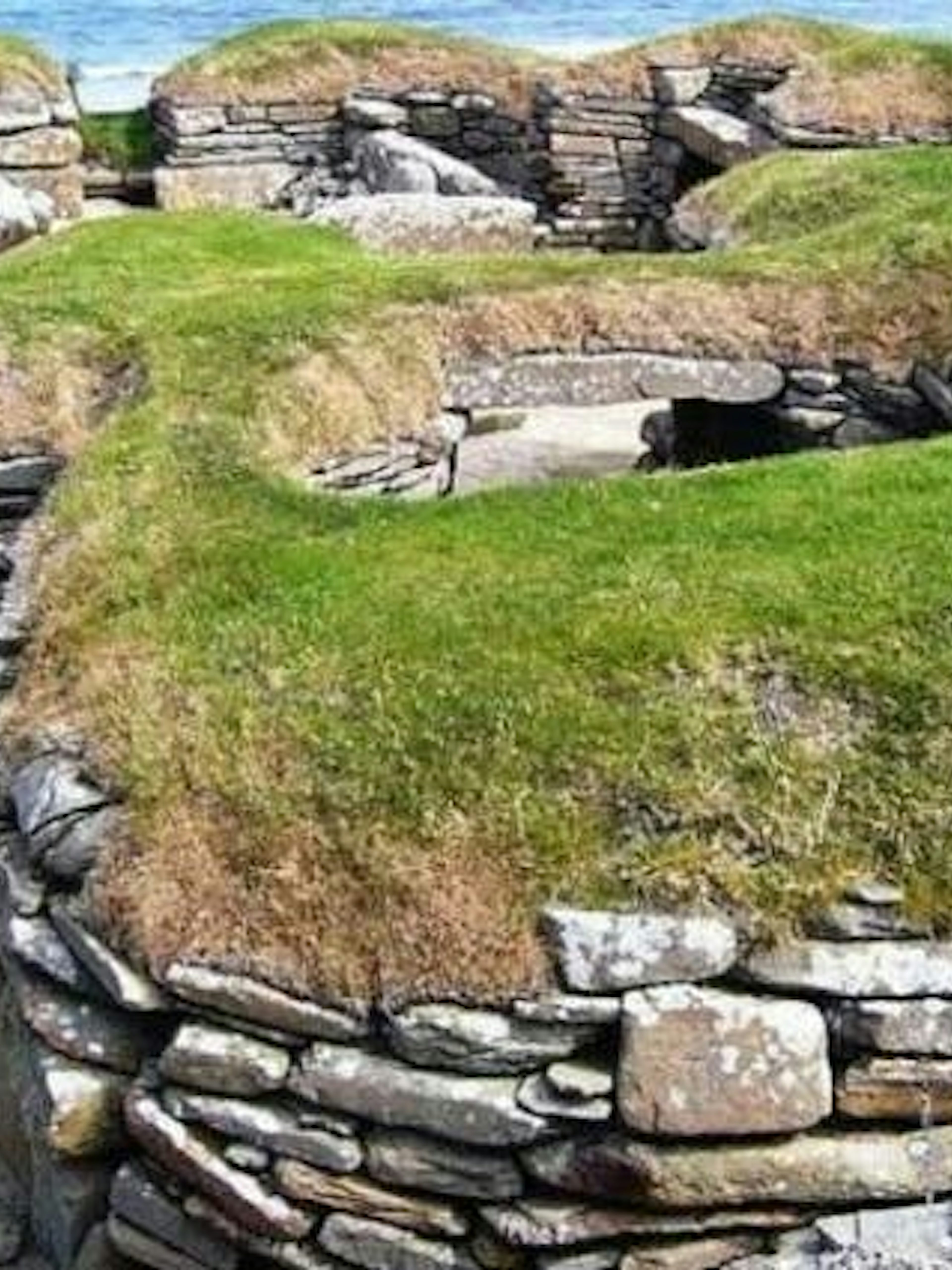 prywatna wycieczka na orkney – pół dnia-1