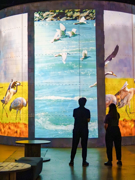 Visitors viewing dinosaur-themed digital art at Prehistoric Planet exhibition, Atelier des Lumières, Paris.