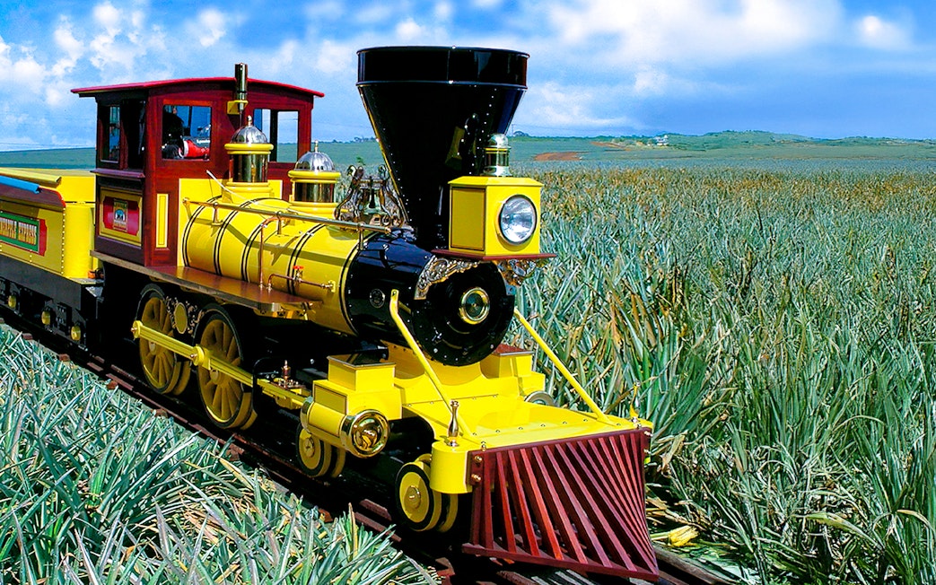 Train traveling through pineapple fields in Oahu, Hawaii.