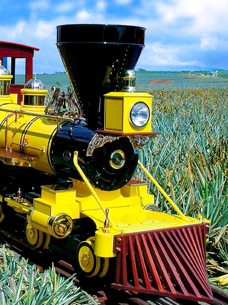 Train traveling through pineapple fields in Oahu, Hawaii.
