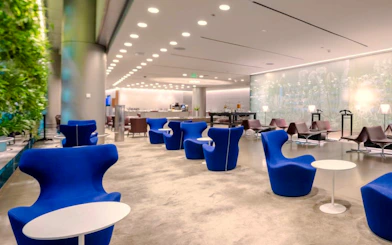 Al Maha Lounge seating area with blue chairs and greenery at Doha Hamad International Airport.