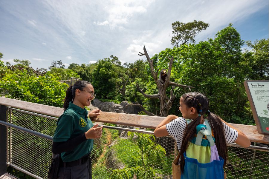 Malayan Sun Bear Ranger Talk