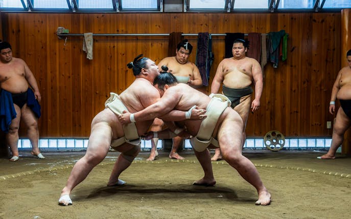 Sumo wrestlers practicing in a traditional dojo during a morning session in Asakusa.