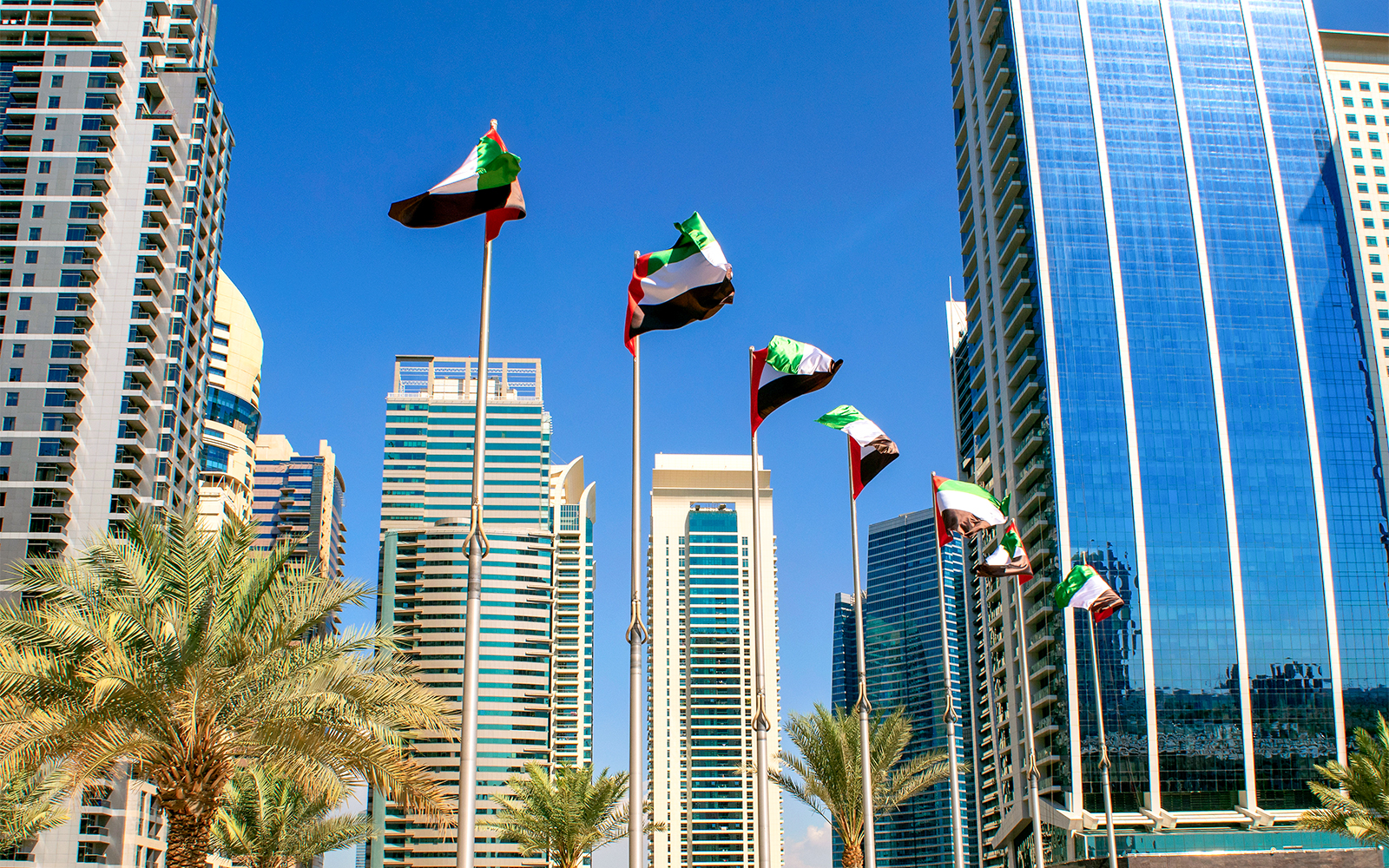 The View at the Palm Timings