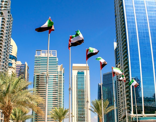 The View at the Palm Timings