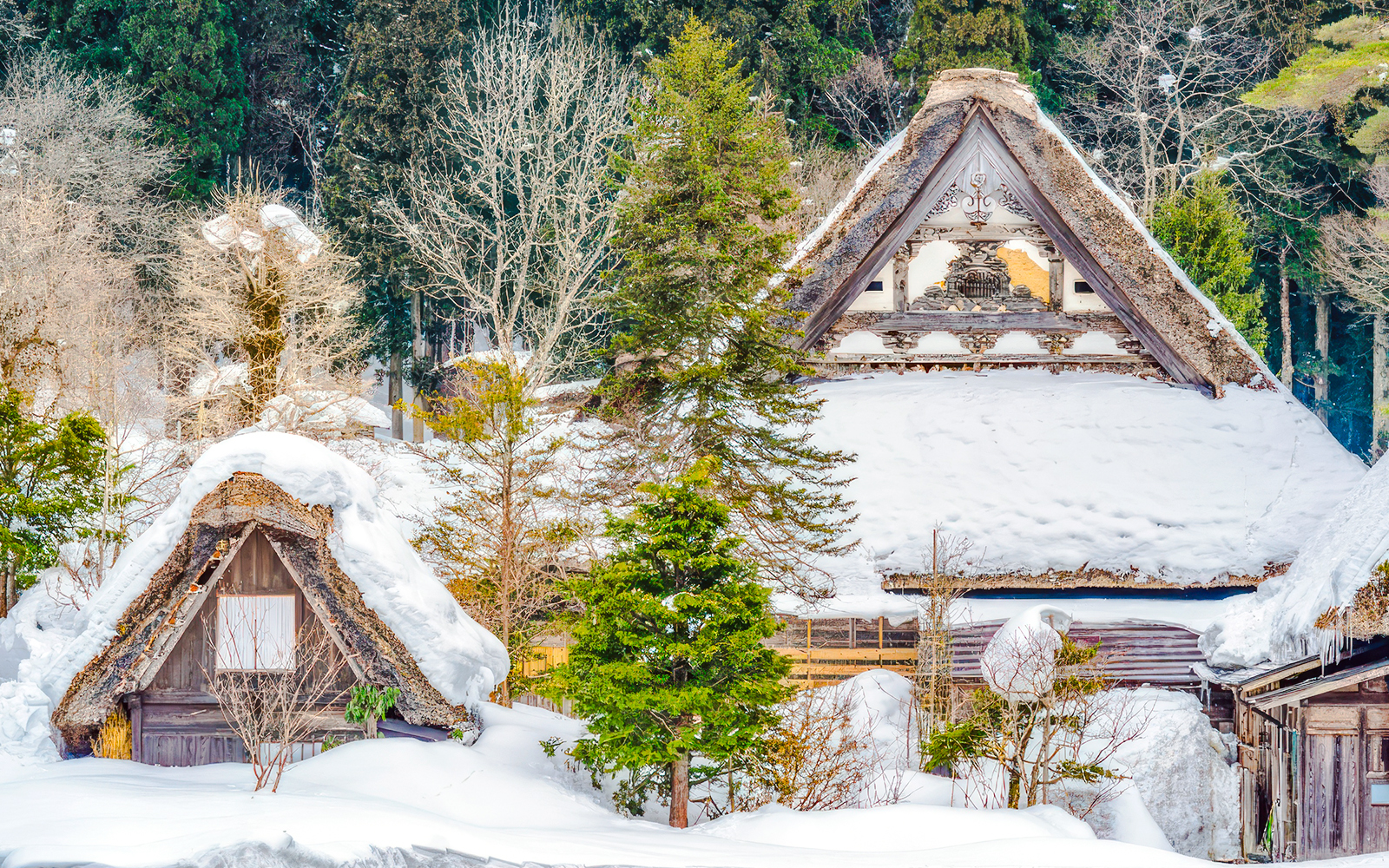 Traditional gassho-style houses in snow-covered Shirakawa-go village, Japan.