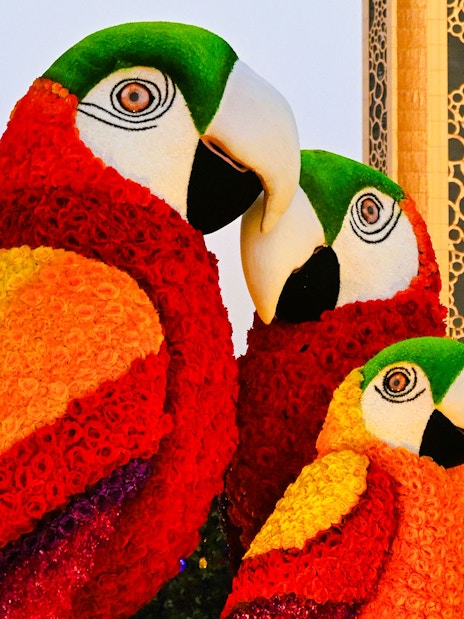 Floral parrot sculptures at Dubai Garden Glow with Dubai Frame in the background.