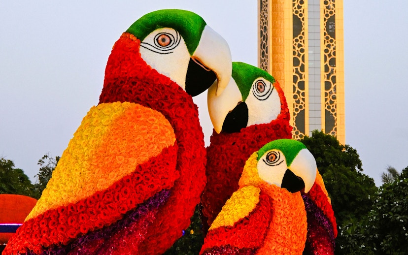 Floral parrot sculptures at Dubai Garden Glow with Dubai Frame in the background.