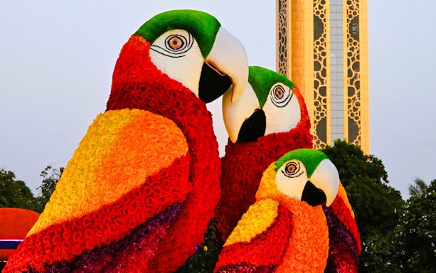 Floral parrot sculptures at Dubai Garden Glow with Dubai Frame in the background.