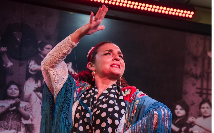 Flamenco dancer performing at Tablao La Cantaora, Seville.