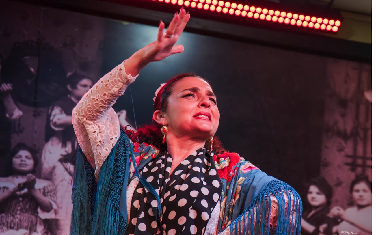 Flamenco dancer performing at Tablao La Cantaora, Seville.