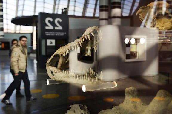 combo: oceanogràfic + museo de las ciencias de valencia-7