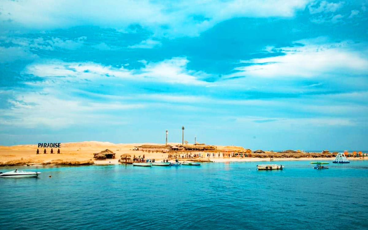snorkeling tour in paradise island from hurghada with lunch & transfers-10 snorkeling tour in paradise island from hurghada with lunch & transfers-10