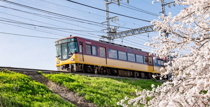 Kintetsu Rail Pass