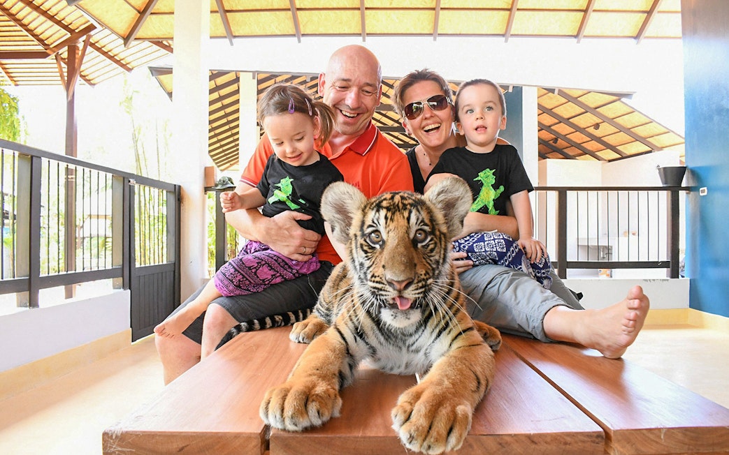 Tourists interacting with a tiger cub at Tiger Park Pattaya.
