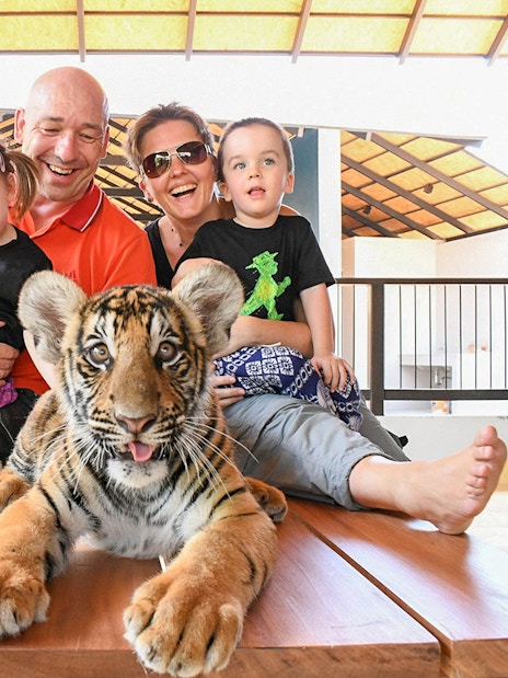 Tourists interacting with a tiger cub at Tiger Park Pattaya.