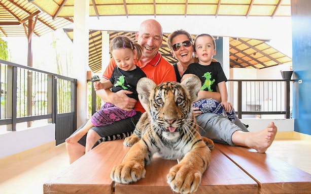 Tourists interacting with a tiger cub at Tiger Park Pattaya.