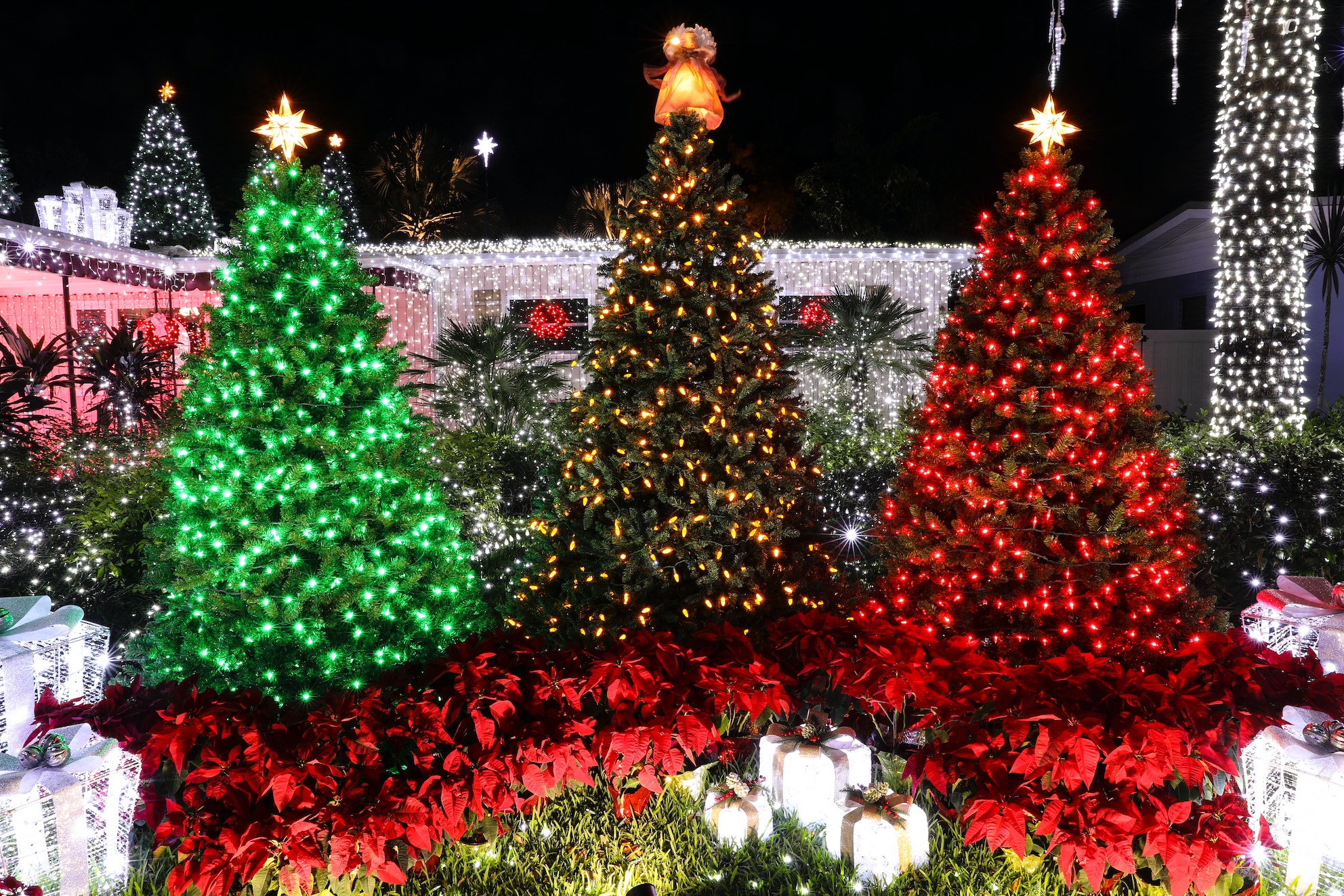 Christmas in Orlando - Why Spend Christmas in Orlando?