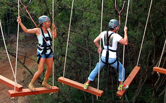 Participants navigating high-elevation ropes course with safety gear in forest setting.