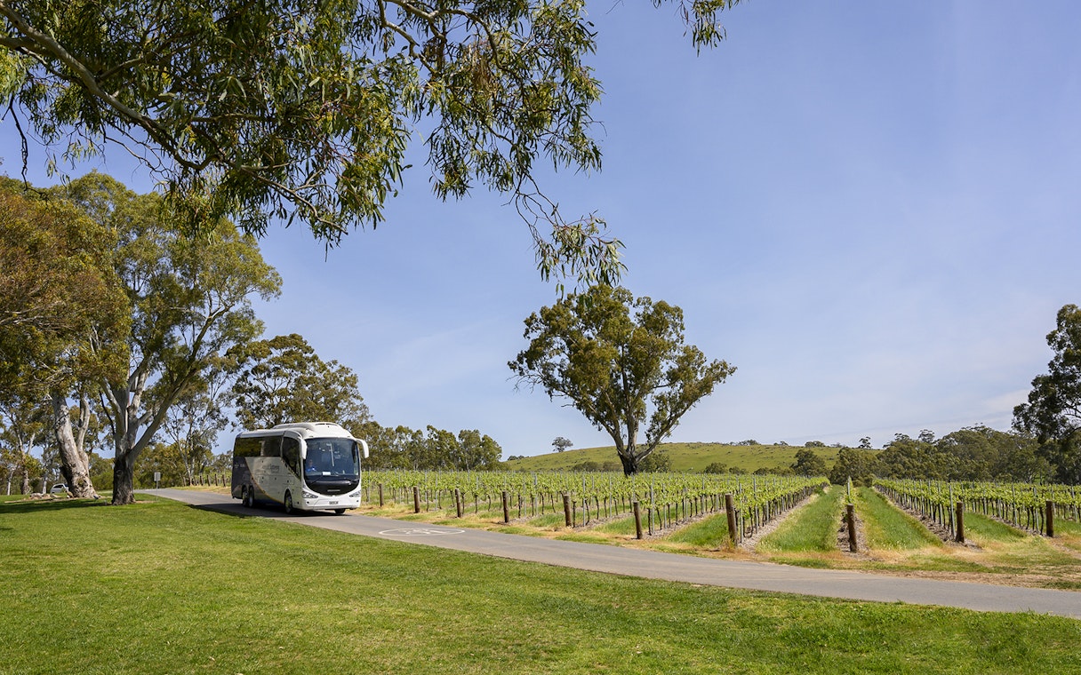 Tour bus driving through Barossa Valley vineyard, Australia.