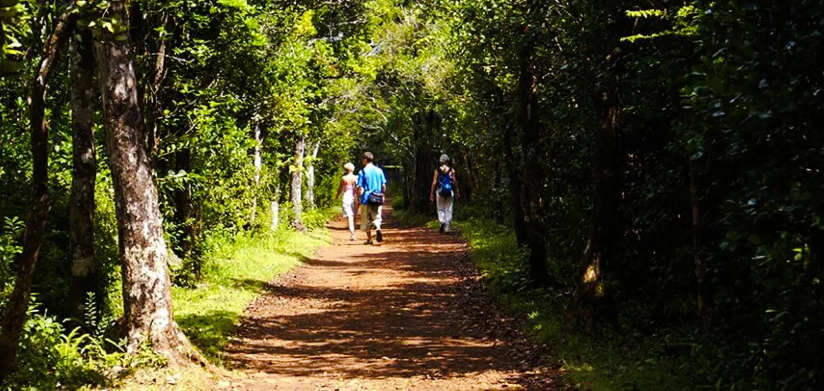 Private South-West Mauritius Tour with Bel Ombre Beach Horseback Ride and Lunch