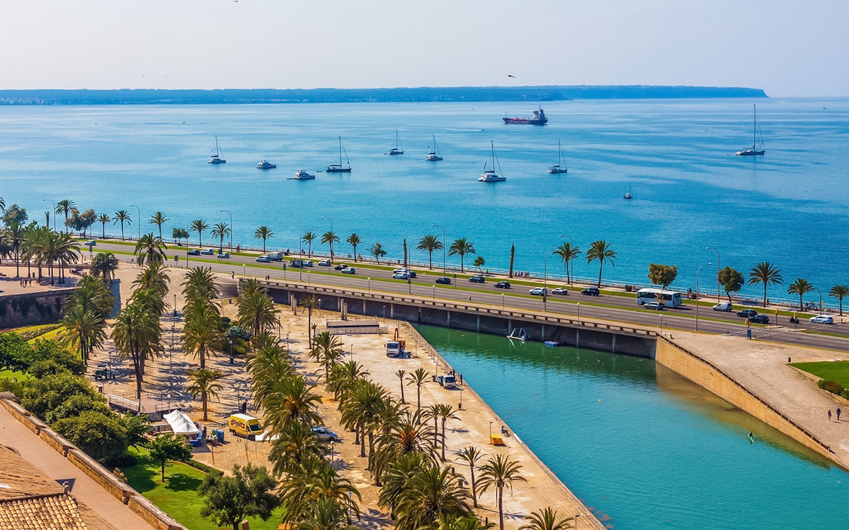 View of Palma de Mallorca waterfront with palm trees and boats, near Cathedral of Majorca terraces.